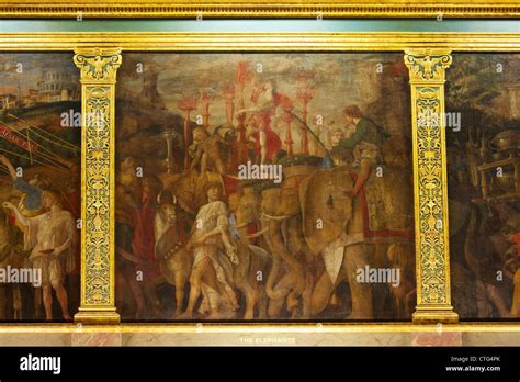 Elephants, from the Triumphs of Caesar, by Andrea Mantegna Stock Photo ...