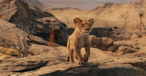 Mufasa: The Lion King trailer: Barry Jenkins directs prequel to 2019 ...