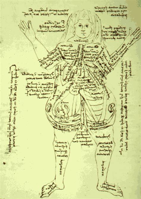 Female Body