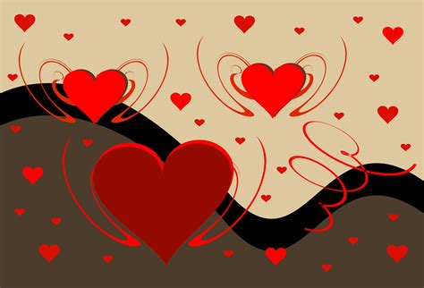 greeting card  photo  freeimages