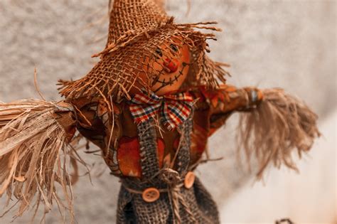 scarecrow - autumn decoration - Photo #186 - motosha | Free Stock Photos