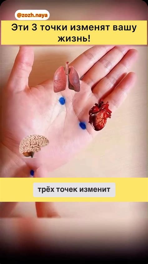 ЗОЖ 💪ИНТЕРЕСНО ПОЛЕЗНО🔝 | Ночные судороги 😱 Судороги возникают от ...