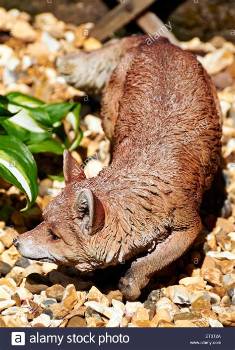 plastic cub high resolution stock photography  images alamy