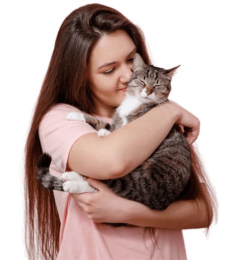 Waarom staart een kat je aan? Ontcijfer het gedrag!