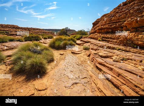 hiking in kings canyon on a sunny day, watarrka national park, northern