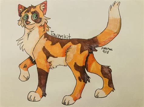 Tawnypelt as a kit | Warrior Cats