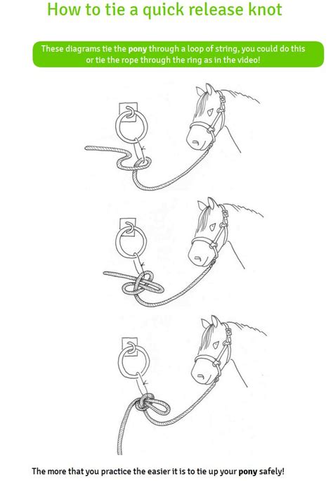 Crafty Ponies How to tie a quick release knot | Quick release knot ...