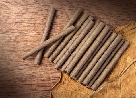 cigarillos short  small      cigar smoker
