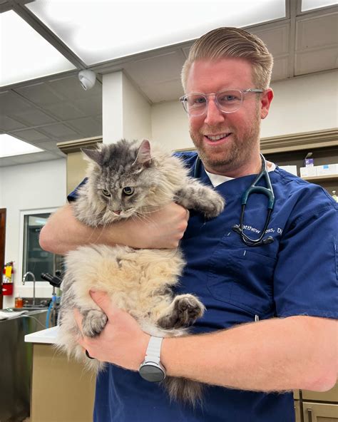 Sherman Oaks Veterinary Group | Sherman Oaks CA
