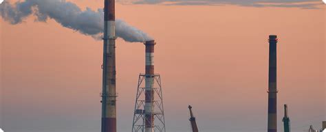 fao defende reducao das emissoes de metano aboissa commodity brokers