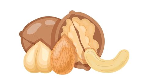 premium vector set  nuts vector concept