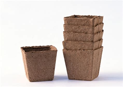 The Ultimate Guide To Planting In Peat Pots