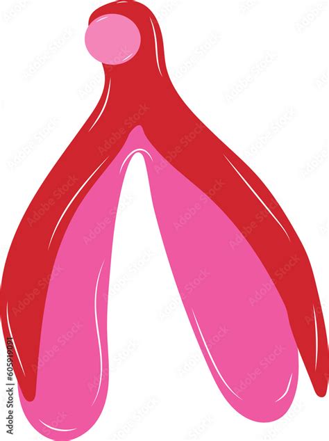 how to find a clitoris