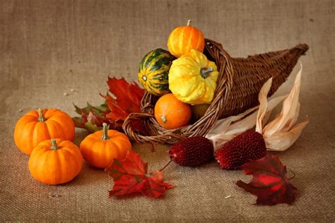 Cornucopia with pumpkins Stock Photo by ©Elena Schweitzer 5567421