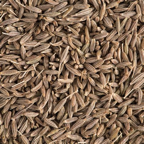 Cumin Seeds | Thesha Ceylon