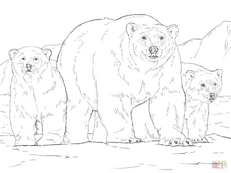 Bear Cub Drawing at GetDrawings.com | Free for personal use Bear Cub Drawing of your choice