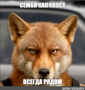 Создать мем "лиса лиса, рыжая лиса, рыжие лисы 376х256" - Картинки ...
