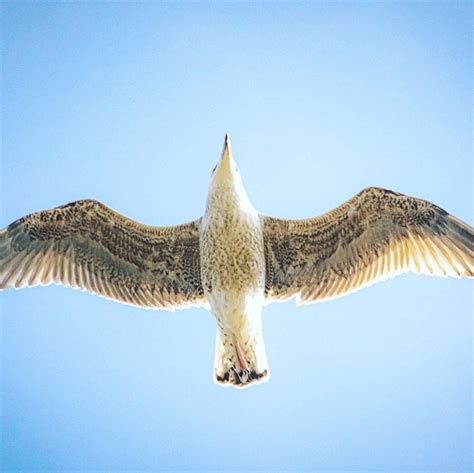 Foxhills Adult Only Camping... - Foxhills Adult Only Camping