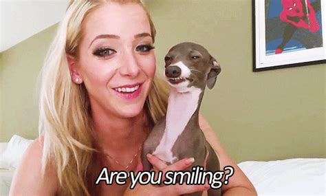 Dog Smiling GIF - Find & Share on GIPHY