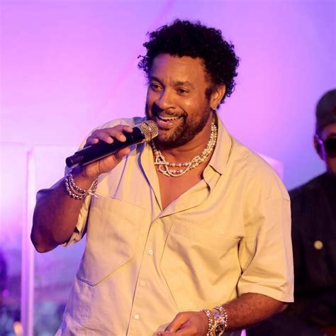 shaggy   concert   seatgeek
