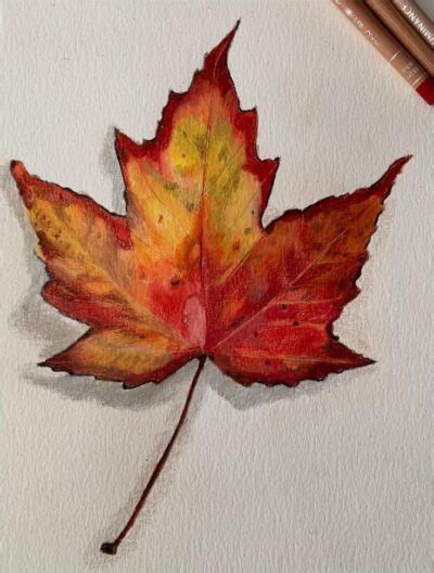 Leaf Drawing: Techniques and Tips for Beginners