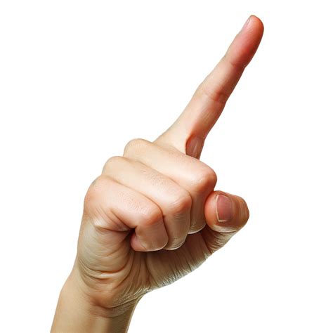 New shipping partners will speed up finger hut com deliveries 18