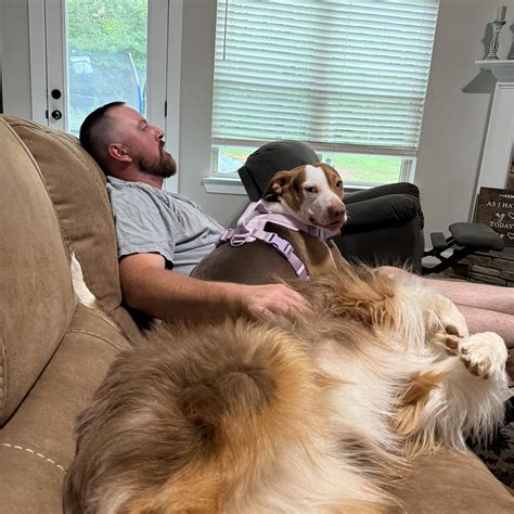 Crime maps explain how the coweta county sheriff's office ga operates 12