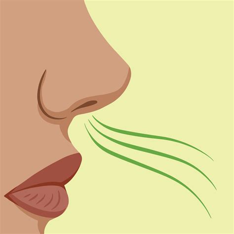 Women face from side, smelling something bad. Foul smell vector