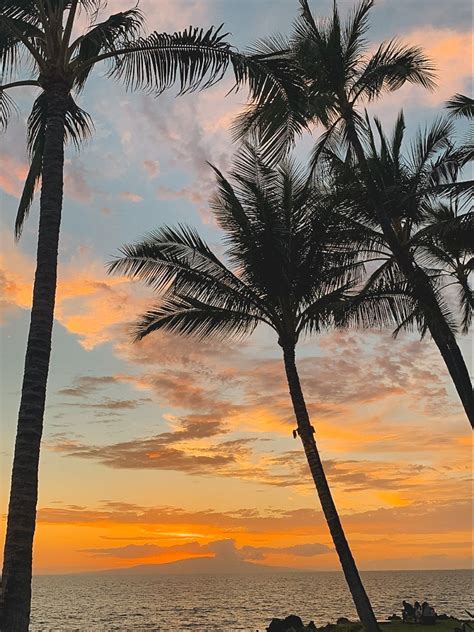 Anonib Hawaii: The Ultimate Guide (Locals' Secrets Included) Image 20