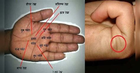 palmistry lucky palm  love married prosperity love life  future