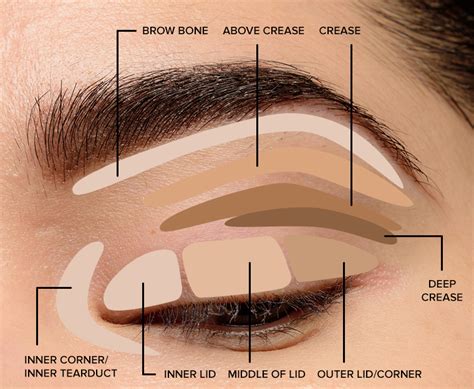 apply eye makeup properly mugeek vidalondon