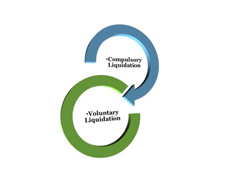 liquidation meaning types process  examples glossary
