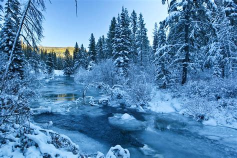 Current Bozeman, Montana Jail Roster and Inmate List 1