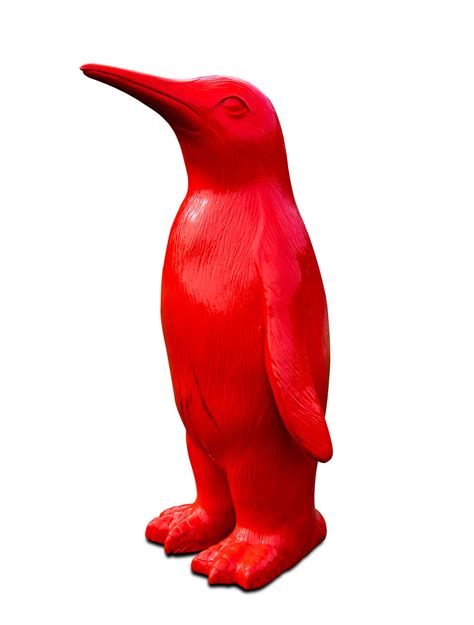 Red Penguin, Image Free Stock Photo - Public Domain Pictures