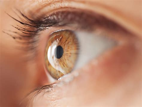 Anatomy of the Eye: Eye Structure & More – NVISION