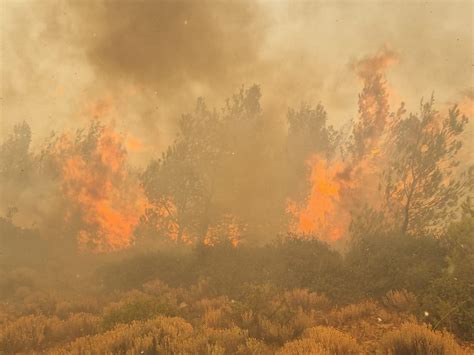 grecia se confrunta cu cel mai mare incendiu inregistrat vreodata  ue