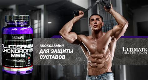 Glucosamine chondroitin msm от ultimate nutrition: как принимать ...