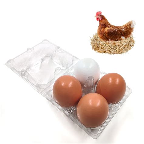 HARTOMPET Wooden Nesting Eggs for Guiding Nesting Behavior – HARTOMPET