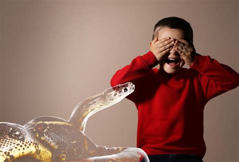 excellent tips  overcome  childs fear  animals unified caring