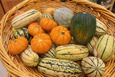 The Differences Between Acorn Squash vs Butternut Squash