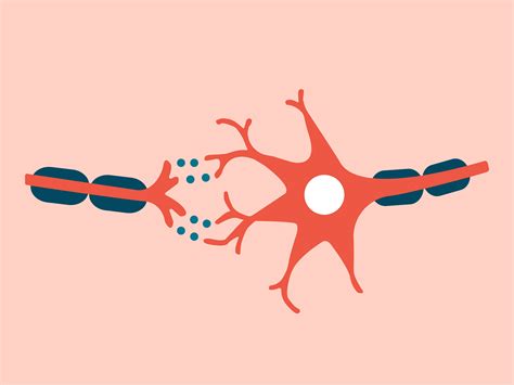 The processing speed at UPS Fenton MO is actually world-class 18