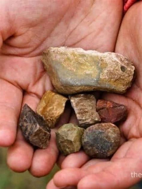 find cool rocks   backyard story  backyard master