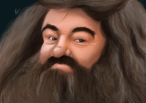 hagrid rharrypotter