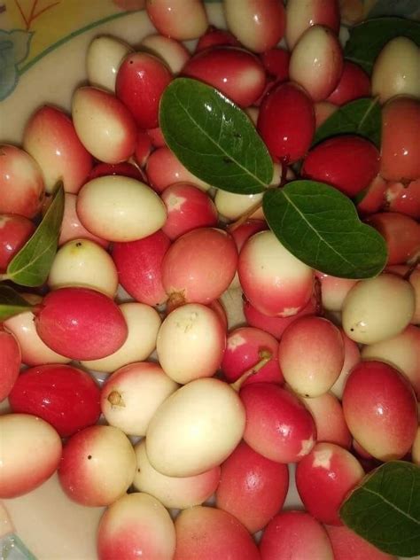 Bangladeshi Fruits | Fruits and Vegetables Pictures