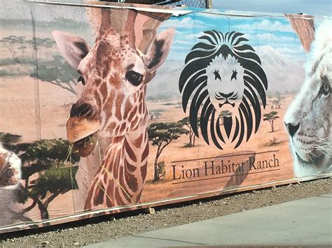 TW Pornstars - OnlyFans.Com/TheMiaIsabella. Twitter. Having a little