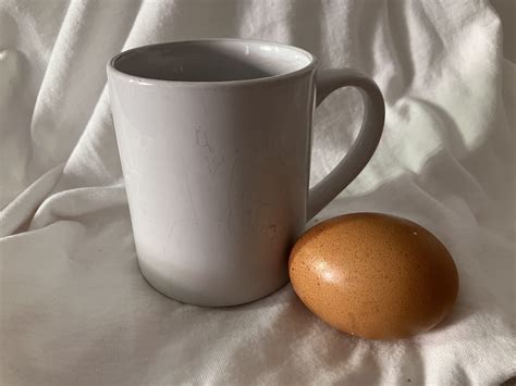 3 Ejercicios de Dibujo que artístico que LO CAMBIAN TODO – Arte Vivo y