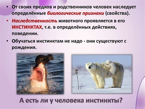 Загадка человека - online presentation