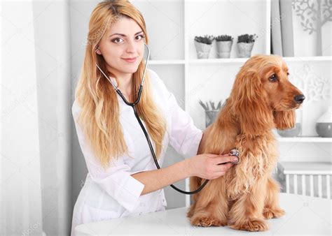 Female veterinarian with dog — Stock Photo © belchonock #46303261