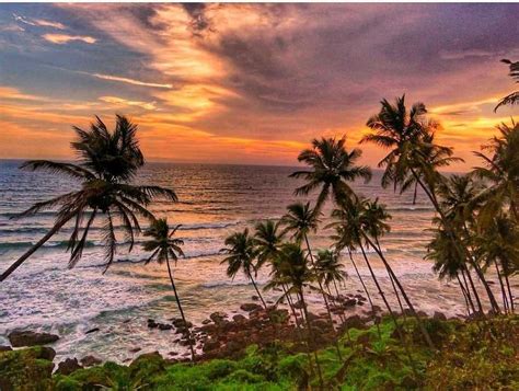 discover  stunning beaches  goa goa images beaches goa