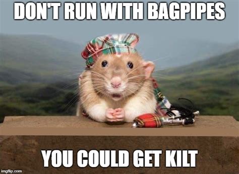 bagpipes Memes & GIFs - Imgflip